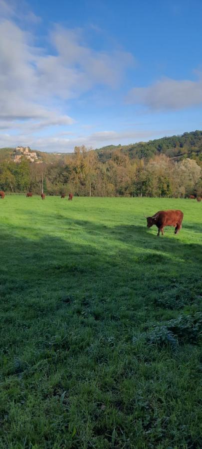 Chatillon Le Cocon Beaujolais别墅 外观 照片
