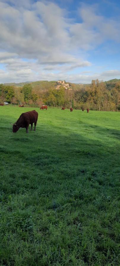 Chatillon Le Cocon Beaujolais别墅 外观 照片